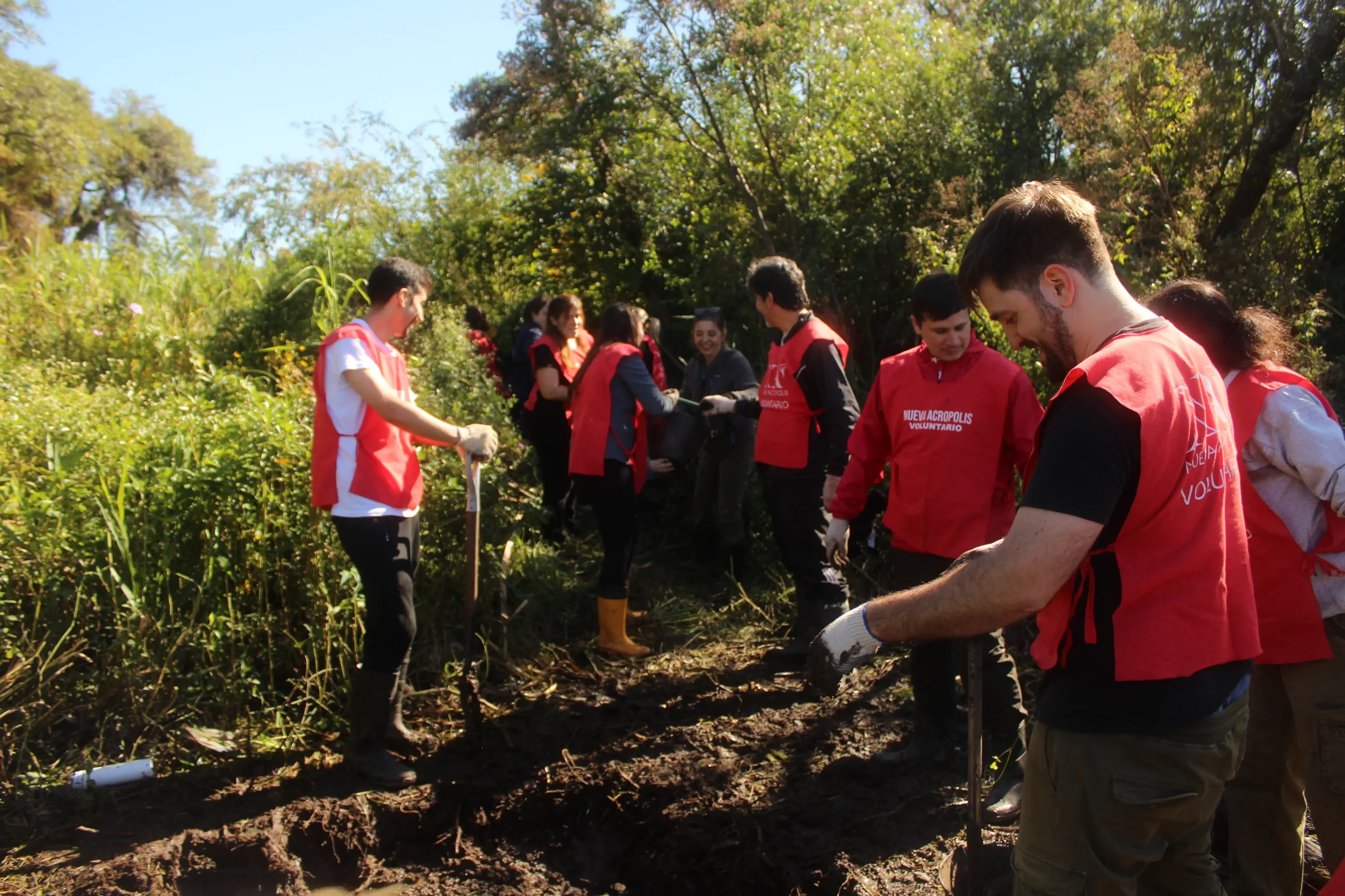 Voluntariado Ecológic